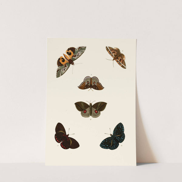 De uitlandsche kapellen voorkomende in de drie waereld-deelen, Asia, Africa en America pl77 (1779-1782) by Pieter Cramer