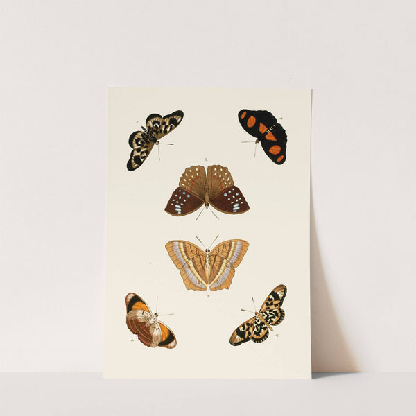 De uitlandsche kapellen voorkomende in de drie waereld-deelen, Asia, Africa en America pl81 (1779-1782) by Pieter Cramer