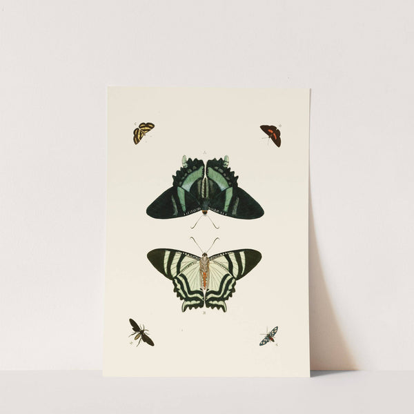 De uitlandsche kapellen voorkomende in de drie waereld-deelen, Asia, Africa en America pl83 (1779-1782) by Pieter Cramer