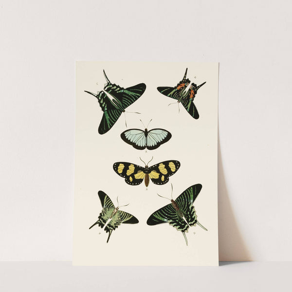 De uitlandsche kapellen voorkomende in de drie waereld-deelen, Asia, Africa en America pl85 (1779-1782) by Pieter Cramer