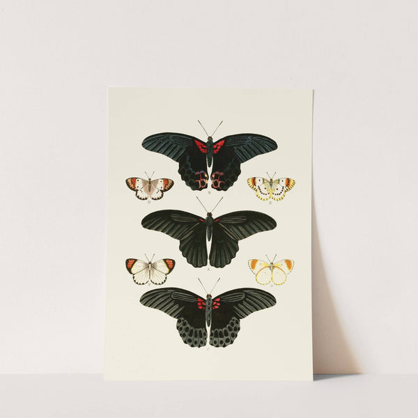 De uitlandsche kapellen voorkomende in de drie waereld-deelen, Asia, Africa en America pl91 (1779-1782) by Pieter Cramer