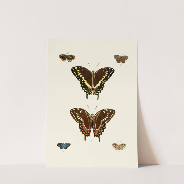 De uitlandsche kapellen voorkomende in de drie waereld-deelen, Asia, Africa en America pl93 (1779-1782) by Pieter Cramer