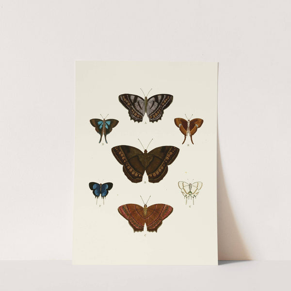 De uitlandsche kapellen voorkomende in de drie waereld-deelen, Asia, Africa en America pl96 (1779-1782) by Pieter Cramer