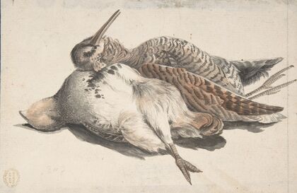 Dead Birds