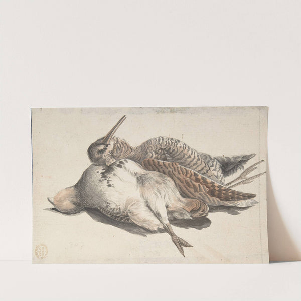 Dead Birds by Count Giorgio Durante