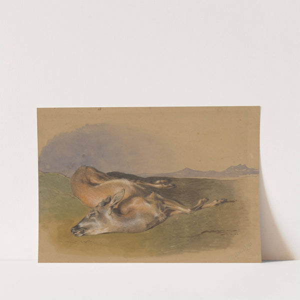 Dead Doe by Friedrich Carl von Scheidlin