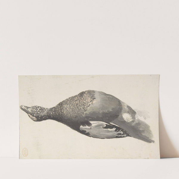 Dead Duck (1685–1755) by Count Giorgio Durante