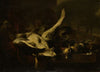 Dead Fowl Being Eaten by a Cat