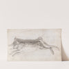 Dead Hare by Andrew Geddes