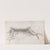 Dead Hare by Andrew Geddes