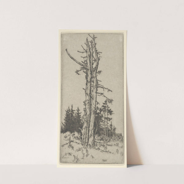 Dead Sisters (1900-1925) by Ernest Haskell