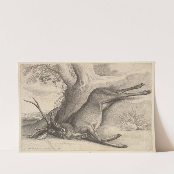 Dead stag (1647) by Wenceslaus Hollar
