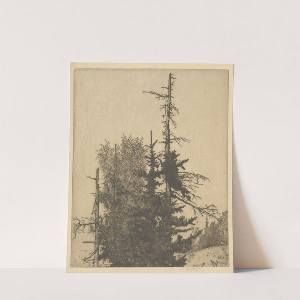 Dead Tops (1912) by Ernest Haskell