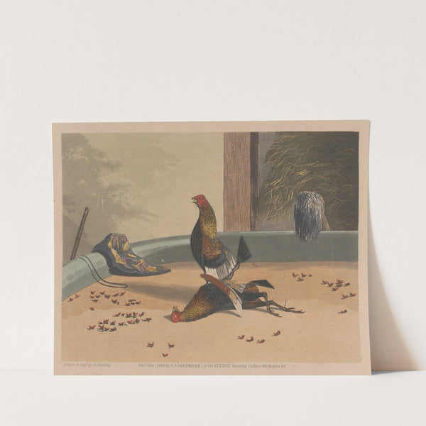 Death (1853) by Newton Limbird Smith Fielding