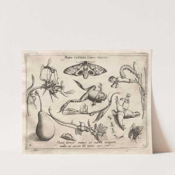 Death is the line that marks the end of all (1592) by Joris Hoefnagel