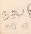 Death’s Head and Seated Woman with Child