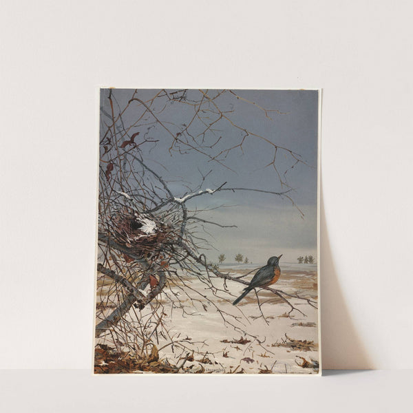 December by Fidelia Bridges