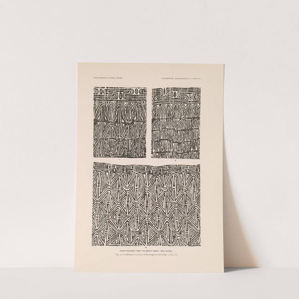 Decorative art of New Guinea Pl.06 by Albert Buell Lewis