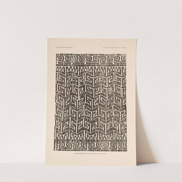 Decorative art of New Guinea Pl.11 by Albert Buell Lewis