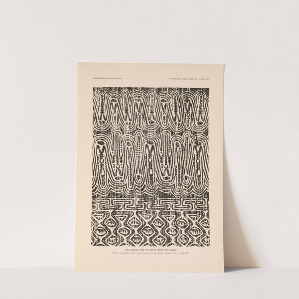 Decorative art of New Guinea Pl.16 by Albert Buell Lewis