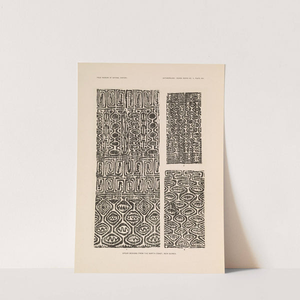 Decorative art of New Guinea Pl.17 by Albert Buell Lewis