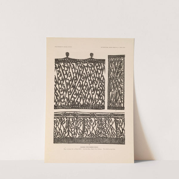 Decorative art of New Guinea Pl.22 by Albert Buell Lewis