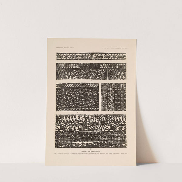 Decorative art of New Guinea Pl.23 by Albert Buell Lewis