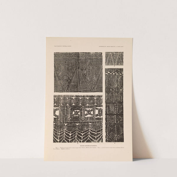 Decorative art of New Guinea Pl.24 by Albert Buell Lewis