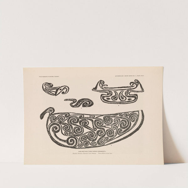 Decorative art of New Guinea Pl.28 by Albert Buell Lewis