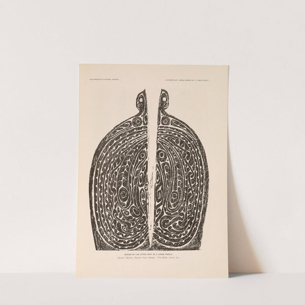 Decorative art of New Guinea Pl.32 by Albert Buell Lewis