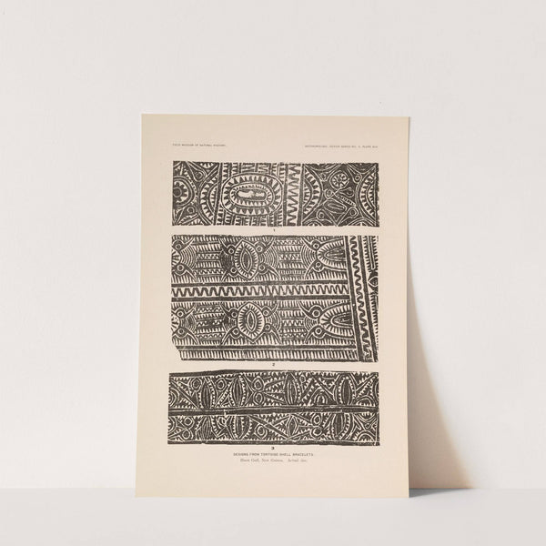 Decorative art of New Guinea Pl.37 by Albert Buell Lewis