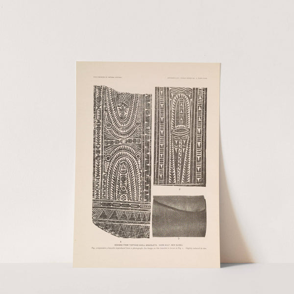 Decorative art of New Guinea Pl.39 by Albert Buell Lewis