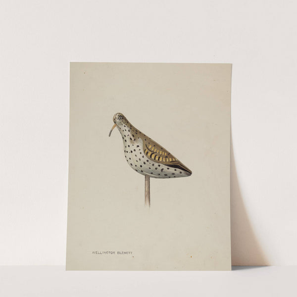 Decoy (c. 1939) by Wellington Blewett