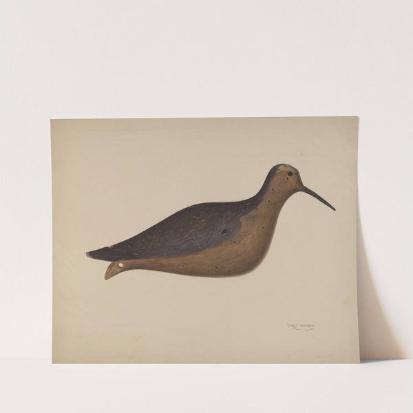 Decoy by Chris Makrenos