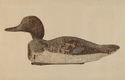 Decoy – Blue Winged Teal