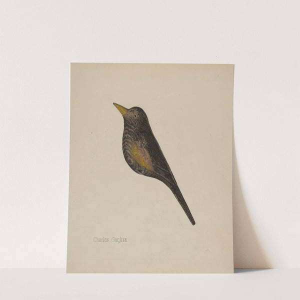 Decoy by Charles Garjian