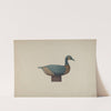 Decoy Duck (c. 1939) by John Sullivan