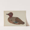 Decoy Duck by Rose Campbell-Gerke