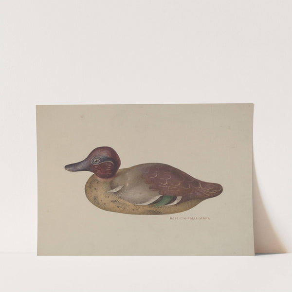 Decoy Duck by Rose Campbell-Gerke