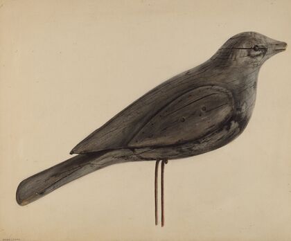Decoy (Gull)