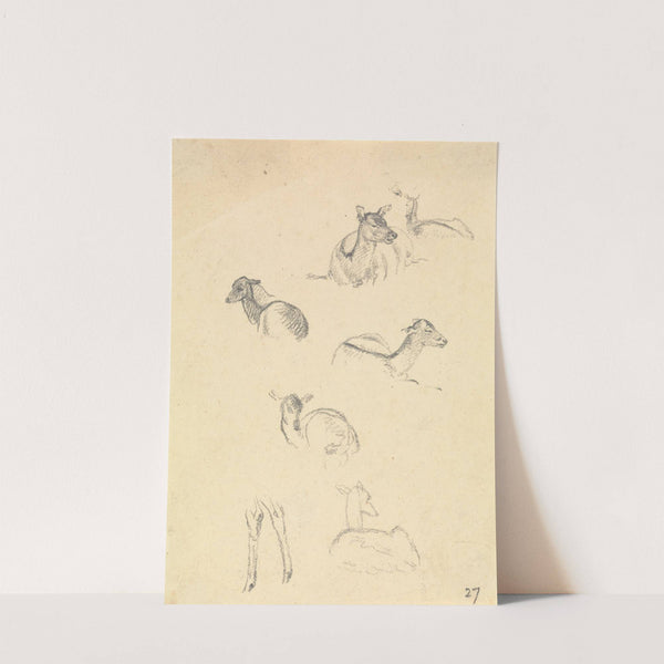 Deer by Robert Hills