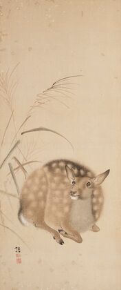 Deer