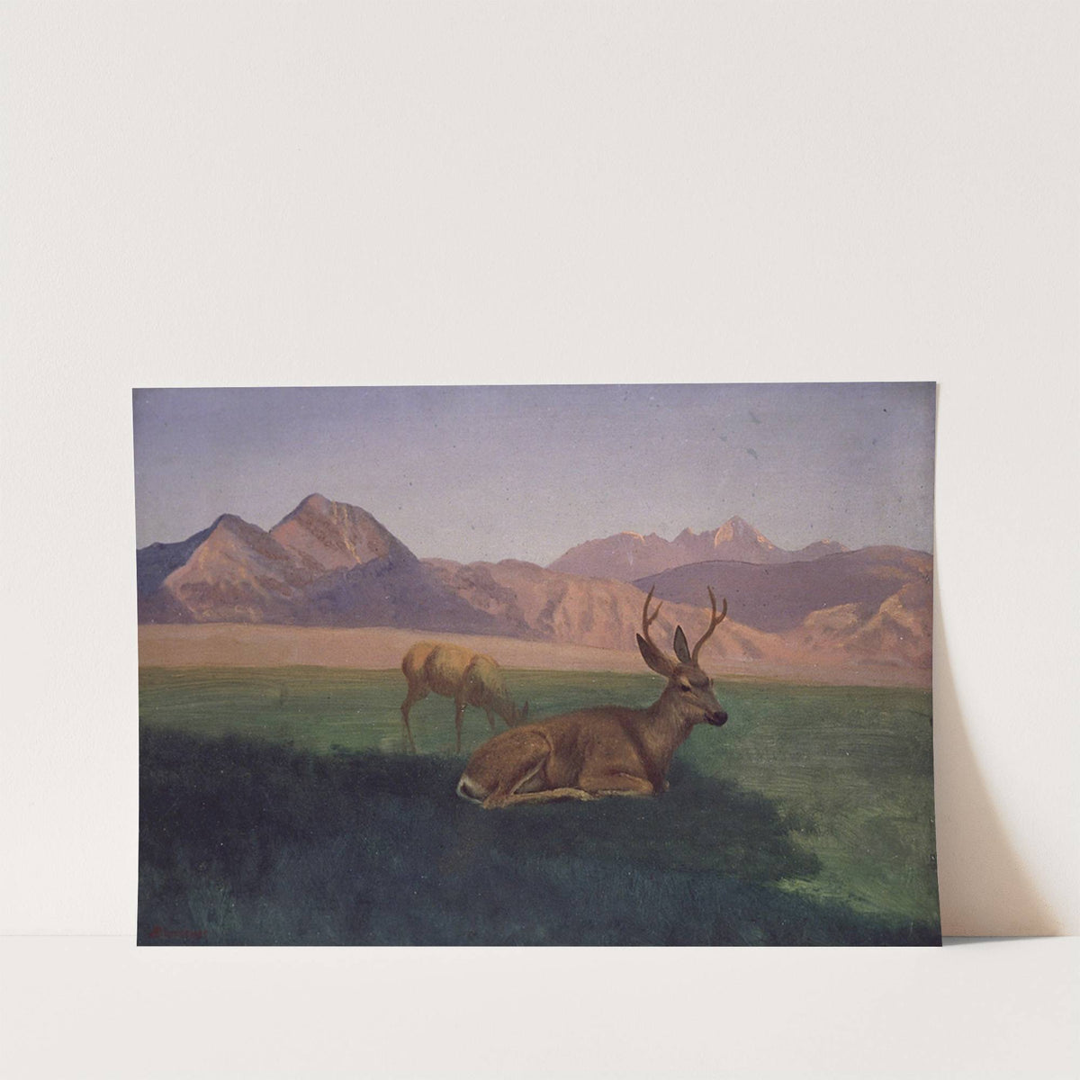 Deer by Albert Bierstadt