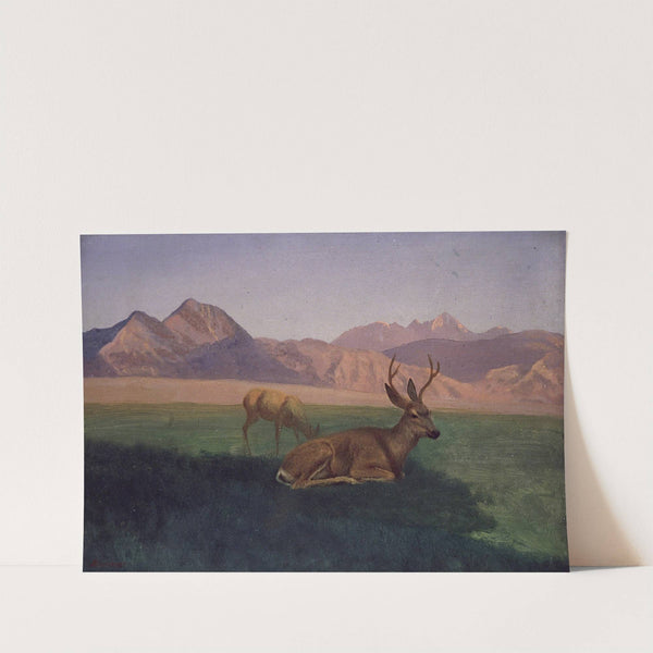 Deer by Albert Bierstadt