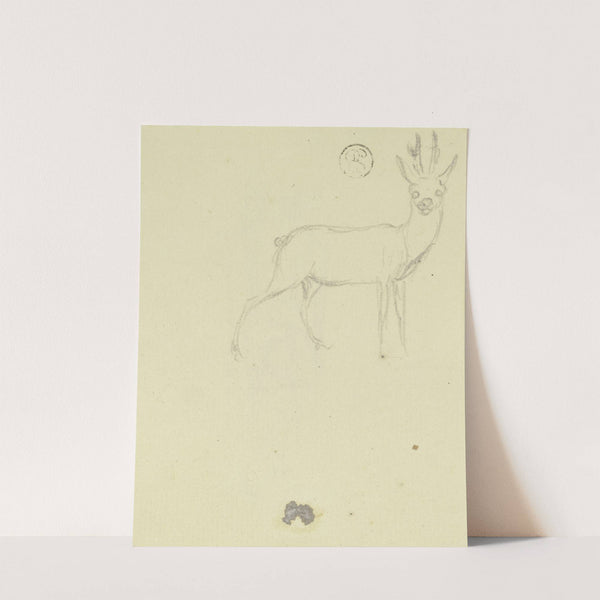 Deer by Daniel Nikolaus Chodowiecki