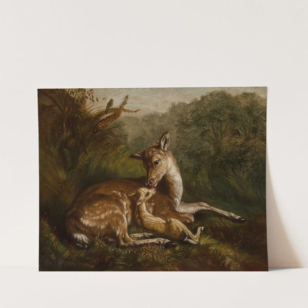Deer and Fawn (1870) by Arthur Fitzwilliam Tait