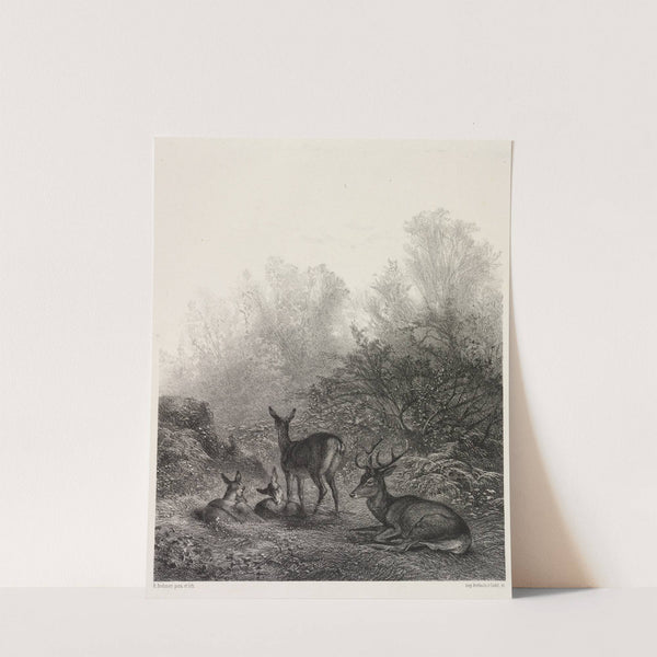 Deer at Rest c. 1860 by Karl Bodmer