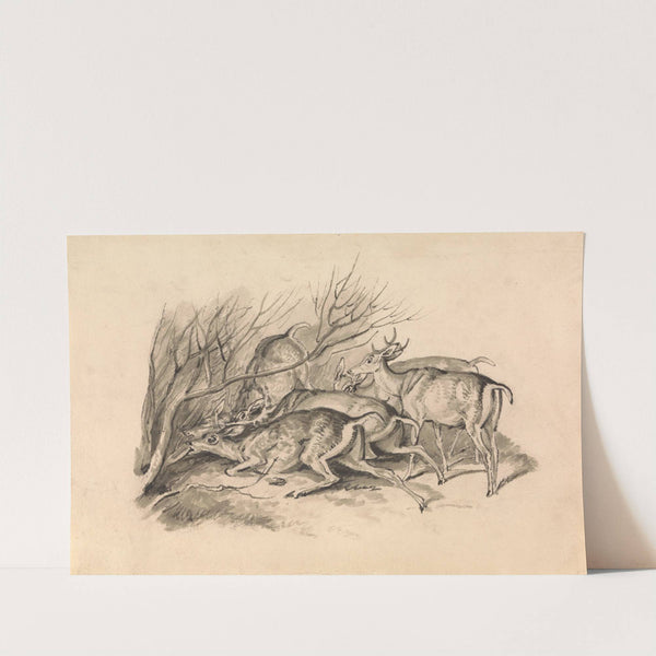 Deer Before a Thicket by Samuel Howitt