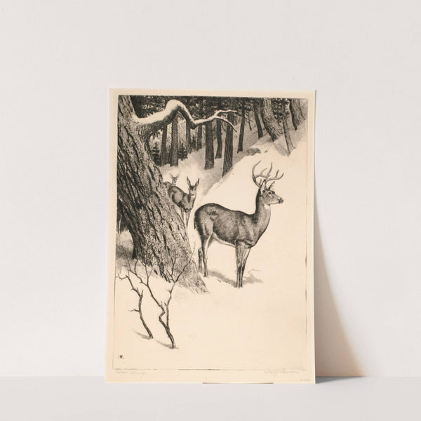 Deer Family by Rodney Thomson