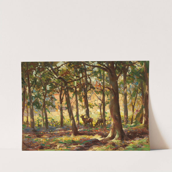 Deer in sunlight copse by Frederick Hall